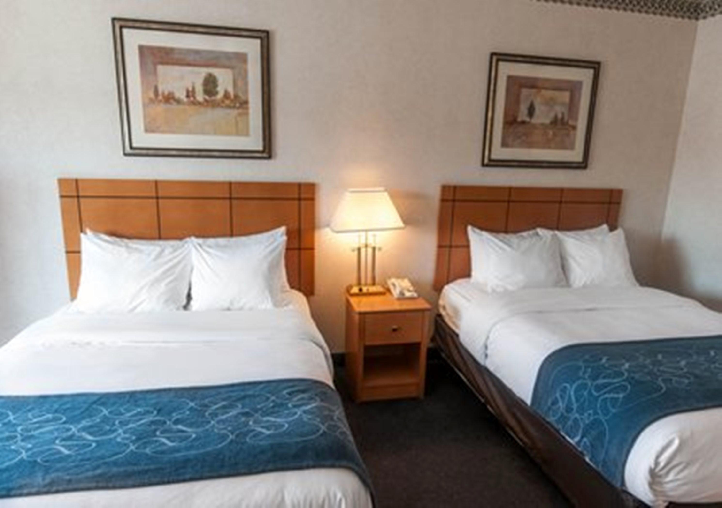 Comfort Suites University Las Cruces Room photo